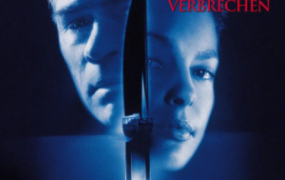 悬疑电影《双重危机》解说文案 鉴赏影评 观后感【含链接】