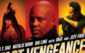 动作电影《极速复仇》解说文案 鉴赏影评 观后感【含链接】