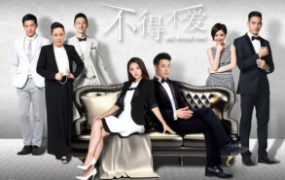 44集电视剧《不得不爱 》解说文案【更新至22集】
