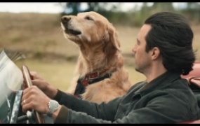 剧情电影《我在雨中等你》解说文案