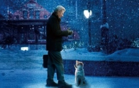 剧情电影《忠犬八公的故事》解说文案