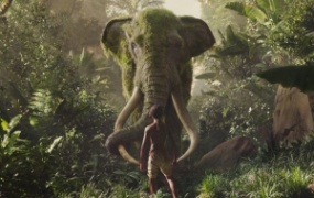 剧情电影《毛克利》解说文案