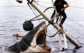 灾难电影《大白鲨》解说文案【含链接】